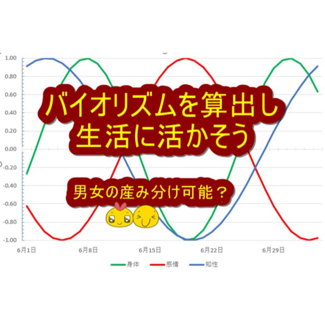 【在庫僅か!】政木式 バイオリズム計 工学博士 政木和三 占い 運勢 産み分け