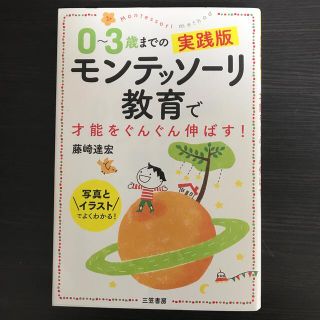 ０～３歳までの実践版モンテッソーリ教育で才能をぐんぐん伸ばす！ 写真とイラストで(結婚/出産/子育て)