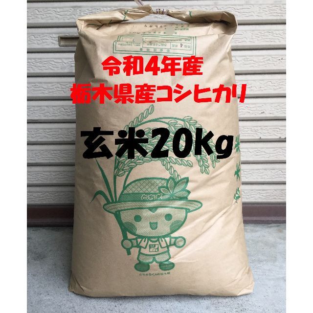新米入荷‼　米/穀物　令和4年産　栃木県産コシヒカリ　検査1等　玄米20kg(精米無料)