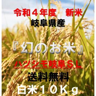 ブランド米　令和４年度『岐阜ハツシモ』　新米　白米　10キロ(米/穀物)