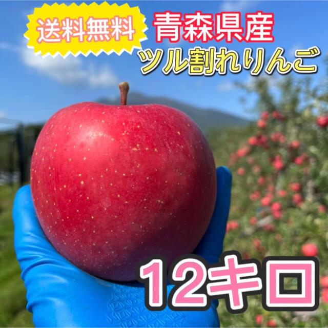 青森県産 りんご 12キロ 家庭用 弘前ふじ 早生ふじ 送料無料 産地直送