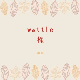 wattle様専用☆多肉植物(その他)