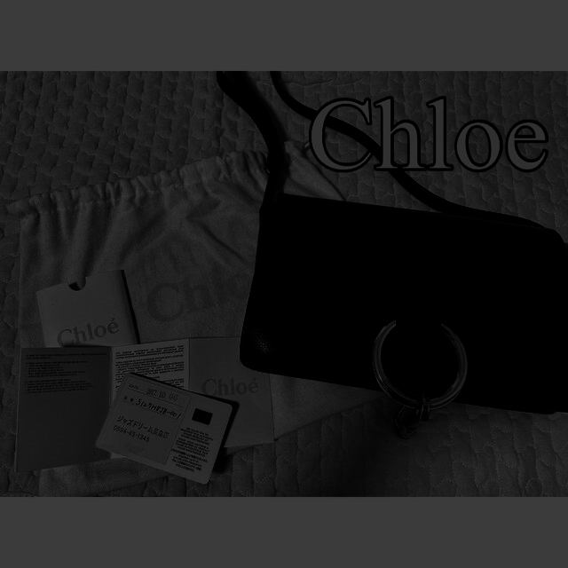Chloe(クロエ)のアクア様専用です。 レディースのバッグ(ショルダーバッグ)の商品写真