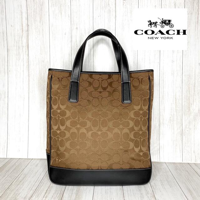 トートバッグCOACH コーチ シグネチャー トートバッグ ハンドバッグ