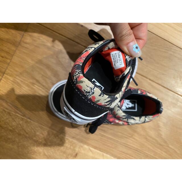 VANS(ヴァンズ)のVans 新品未使用　スニーカー　トドラー7.5 キッズ/ベビー/マタニティのベビー靴/シューズ(~14cm)(スニーカー)の商品写真