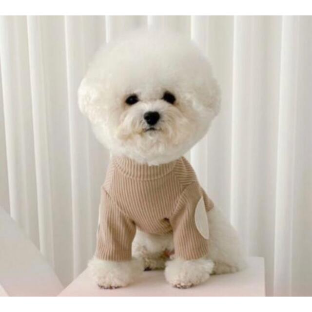 犬服　犬の服　タートル その他のペット用品(犬)の商品写真