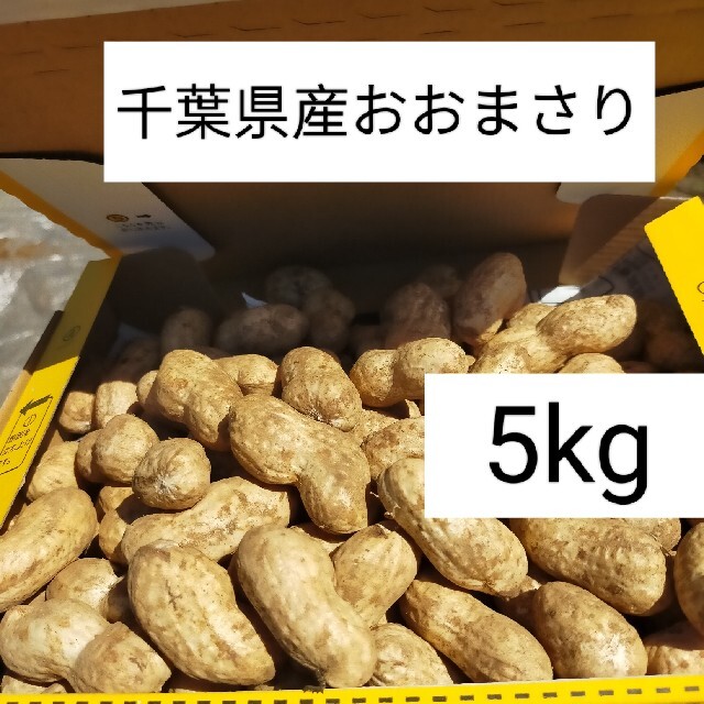 おおまさり千葉県産生落花生箱込み5キロ 食品/飲料/酒の食品(野菜)の商品写真