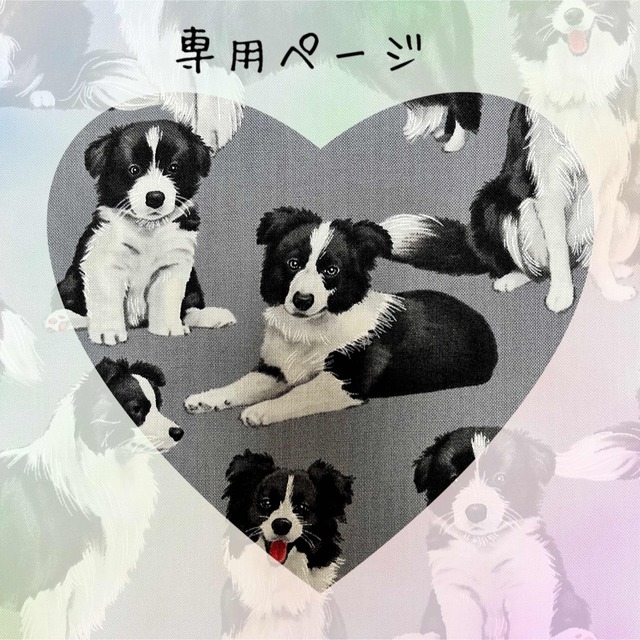 BORDER FINE ARTS ボーダーファインアーツ ボーダーコリー 親子犬