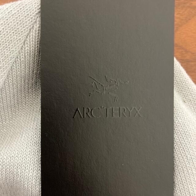 ARC'TERYX(アークテリクス)の【新品未使用】Arc'teryx Bird word toqu ビーニー  メンズの帽子(ニット帽/ビーニー)の商品写真