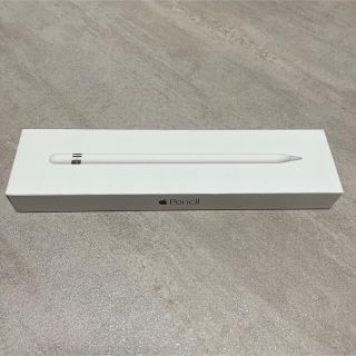 アップル(Apple)のApple Pencil 第１世代(その他)