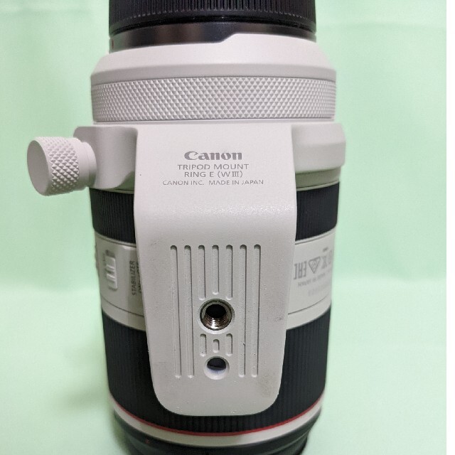 Canon RF70-200 f2.8 L IS USM 2