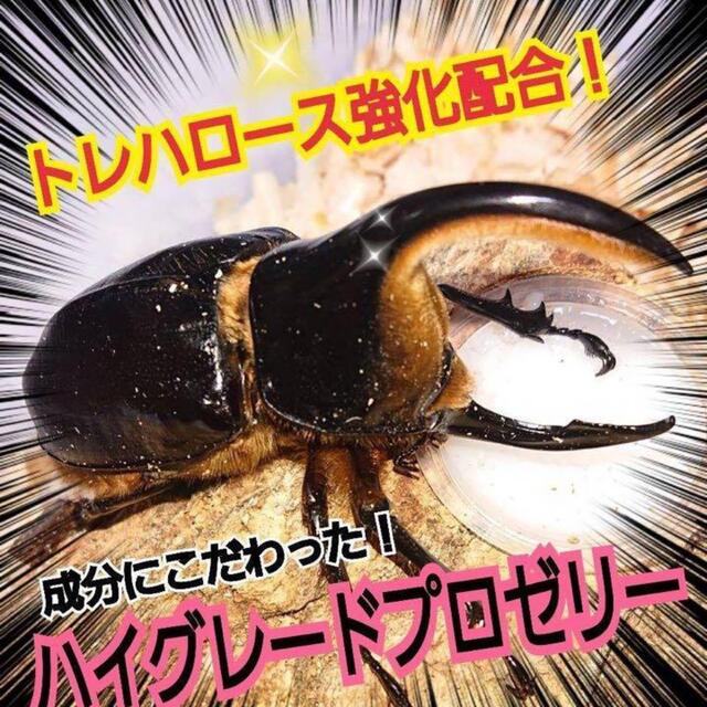 特選ハイグレードプロゼリー200個　産卵促進・長寿に抜群！食べやすいワイドカップ その他のペット用品(虫類)の商品写真