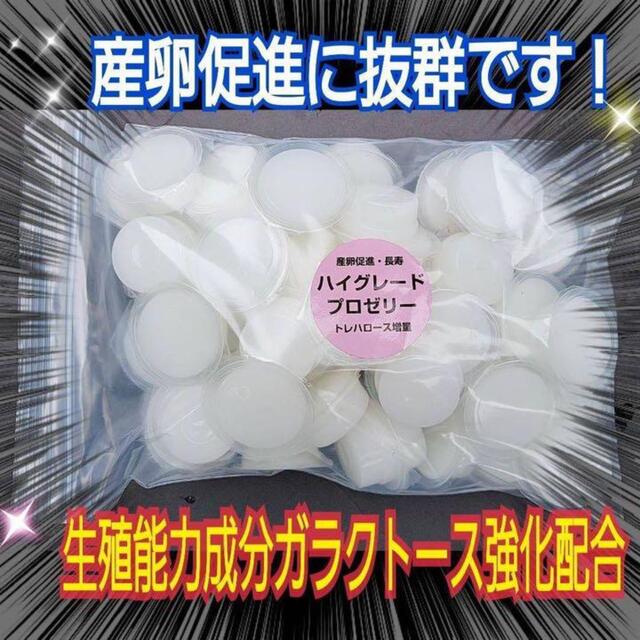 特選ハイグレードプロゼリー200個　産卵促進・長寿に抜群！食べやすいワイドカップ その他のペット用品(虫類)の商品写真