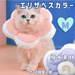 【コーラルM】ソフトエリザベスカラー 術後ウェア 猫犬 皮膚病 雄 雌 撥水防水(猫)