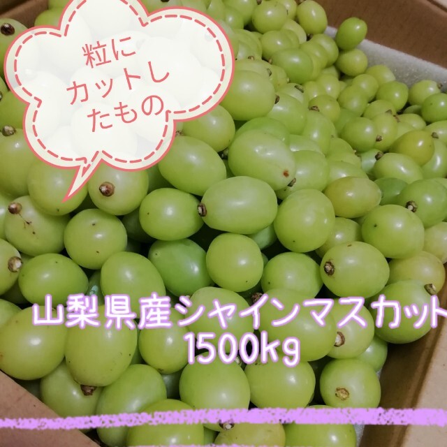 ❮山梨県産❯★シャインマスカット★粒売り1.0kg