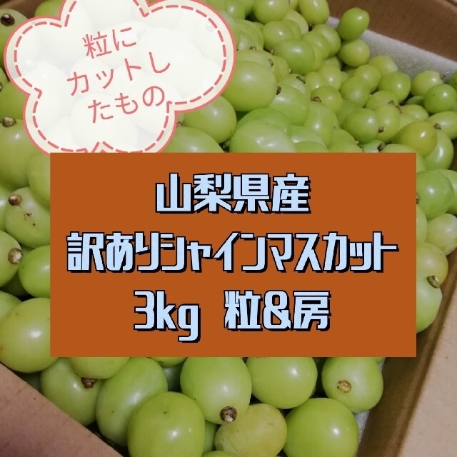 3kg 訳あり　粒　シャインマスカット　山梨県 食品/飲料/酒の食品(フルーツ)の商品写真