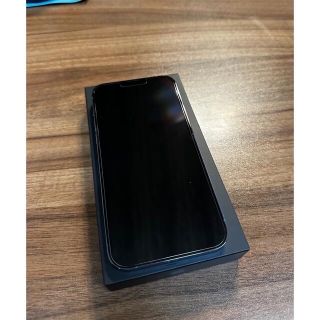 アイフォーン(iPhone)の【美品】iPhone13 Pro Max 256GB（SIMフリー）(スマートフォン本体)