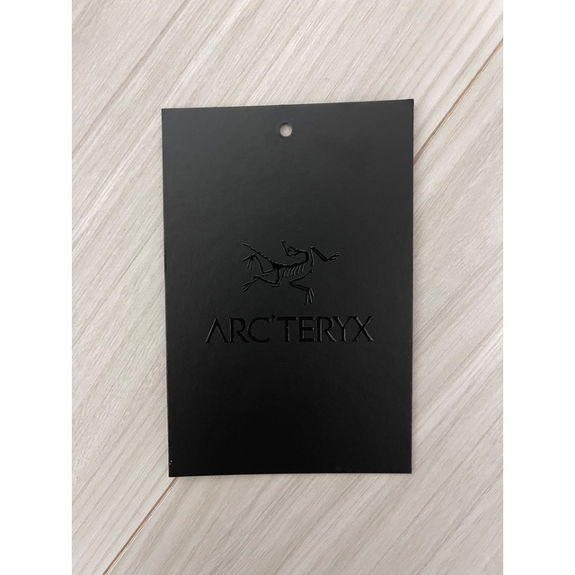 ARC'TERYX(アークテリクス)のアークテリクス　アトムLTフーディ メンズのジャケット/アウター(ダウンジャケット)の商品写真