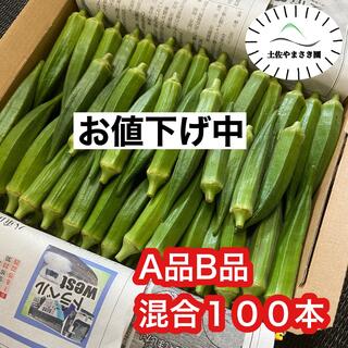 高知県産オクラ　新鮮おくら　即購入OK 産地直送　野菜100pgja(野菜)