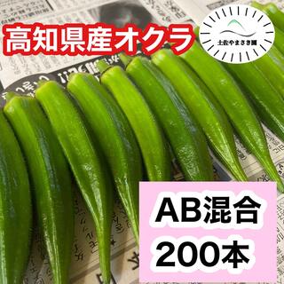 高知県産オクラ　新鮮おくら　即購入OK 産地直送　野菜200(野菜)