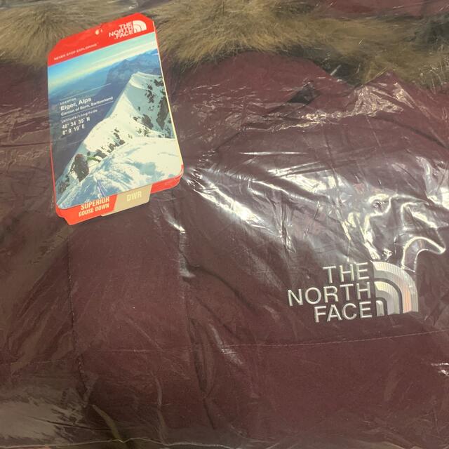 新品タグTHE NORTH FACE SNOW EXPEDITION DOWN