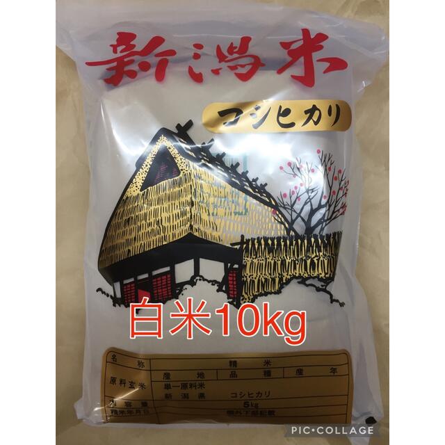 新米　新潟産コシヒカリ　令和4年産　白米10kg