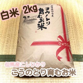 ✿コウノトリ育むお米✿ 白米 2kg 但馬産こしひかり(米/穀物)