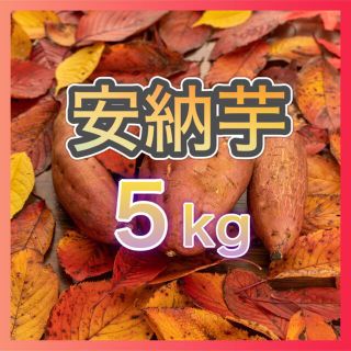 さつまいも【安納芋】5kg(野菜)