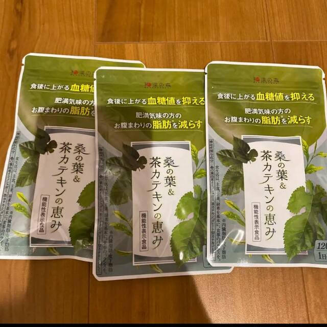 和漢の森 桑の葉＆茶カテキンの恵み 120粒 × 3袋セット