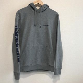 パタゴニア(patagonia)のpatagonia パタゴニア アップルライザーフーディー(パーカー)