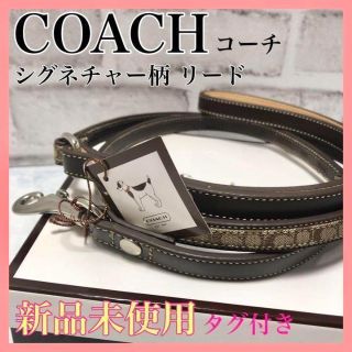 コーチ(COACH) ペット用品の通販 100点以上 | コーチのその他を