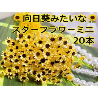 向日葵みたいなスターフラワーミニ20本(ドライフラワー)