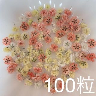 オレンジ系 かすみ草ドライフラワー100粒(ドライフラワー)