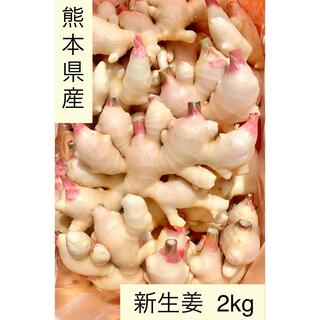 熊本県産　新生姜　2kg (野菜)