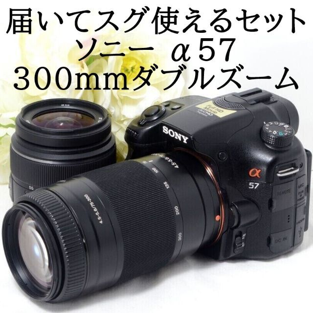 ベンチ 収納付 α(ソニー) ソニー SONY α77 Mark2 75-300mm 望遠