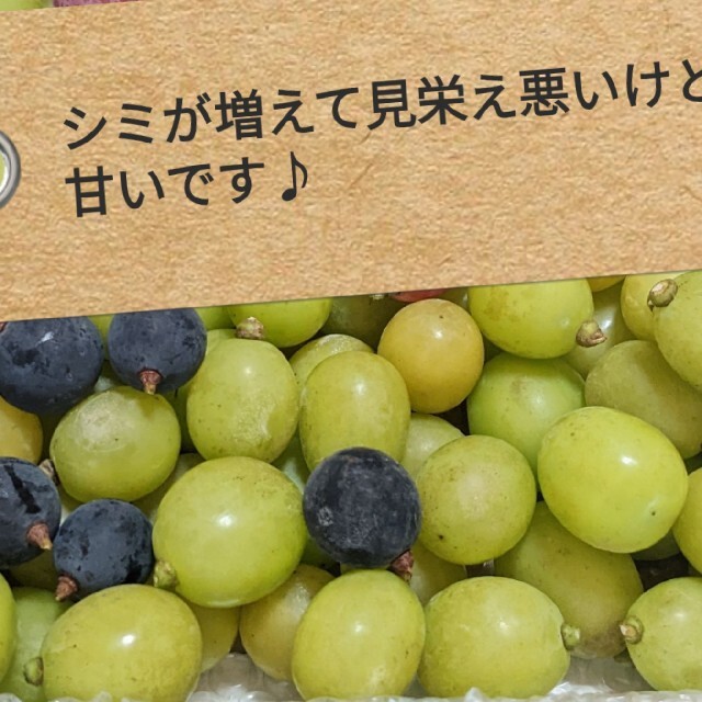 3kg　訳あり　粒　シャインマスカット　山梨県 食品/飲料/酒の食品(フルーツ)の商品写真