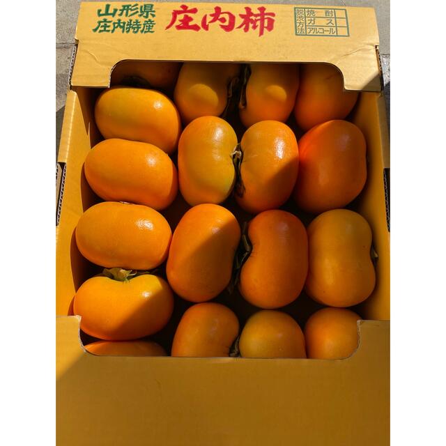 11月中旬前後より発送予定 高知産 しぶ柿 渋柿 シブ柿 大和柿 約15キロ 干し柿用 つるし柿用 さらし柿用 北海道 沖縄は別途送料必要です 格安新品 11月中旬前後より発送予定 高知産 しぶ柿 渋柿 シブ柿 大和柿 約15キロ 干し柿用 つるし柿用 さらし柿用 北海道 沖縄は別途送料必要です 格安新品