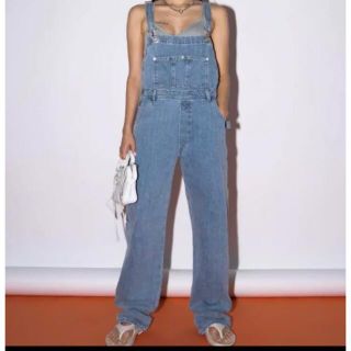 ACLENT アクレント Vintage loose denim overall(デニム/ジーンズ)