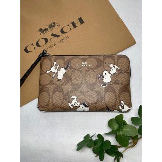 コーチ(COACH) スヌーピー ポーチ(レディース)の通販 52点 | コーチの ...