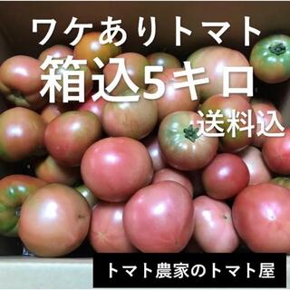 【トマト農家のトマト屋】岩手県産　訳ありトマト　5キロ　即日発送可