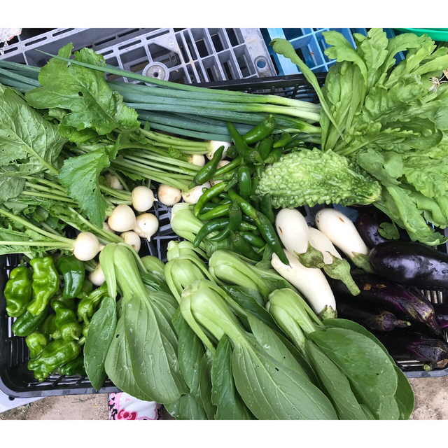 専用です‼️ 食品/飲料/酒の食品(野菜)の商品写真