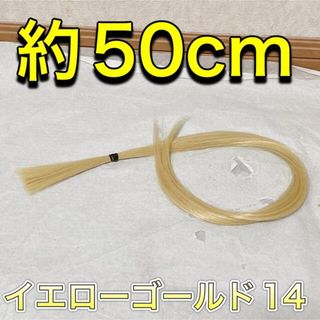 コスプレウィッグ 毛束 エクステ 50cm(その他)
