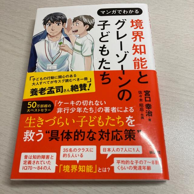 マンガでわかる境界知能とグレーゾーンの子どもたち エンタメ/ホビーの本(人文/社会)の商品写真