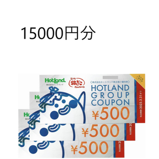 築地銀だこ 銀のあん ホットランド 株主優待券  15000円分(フード/ドリンク券)