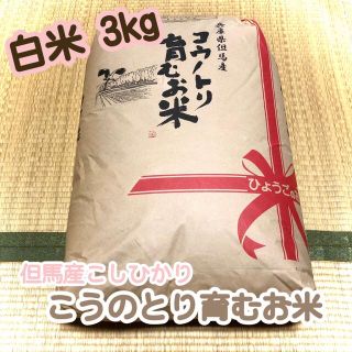 ✿コウノトリ育むお米✿ 白米 3kg 但馬産こしひかり(米/穀物)