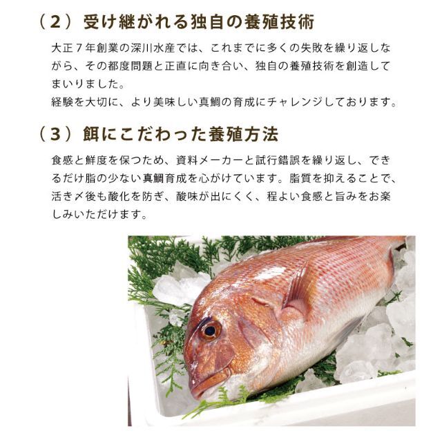 フードロス削減緊急企画！　真鯛の昆布〆　３パック　数量限定　訳あり　 食品/飲料/酒の食品(魚介)の商品写真