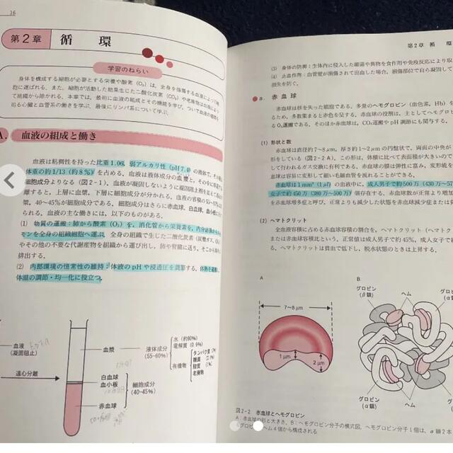 生理学 エンタメ/ホビーの本(健康/医学)の商品写真