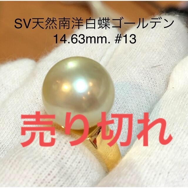 SV天然南洋白蝶ゴールデン真珠リング　14.63mm. #13