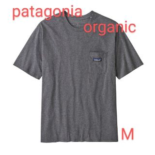 パタゴニア(patagonia)のpatagonia パタゴニアオーガニックTシャツ　Mサイズ(Tシャツ/カットソー(半袖/袖なし))