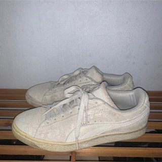 PUMA 紺色ラメスニーカー 24.5㎝